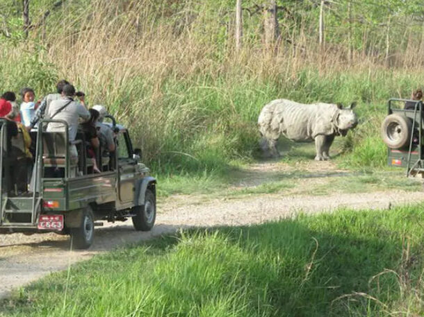 2 nights 3 days chitwan tour