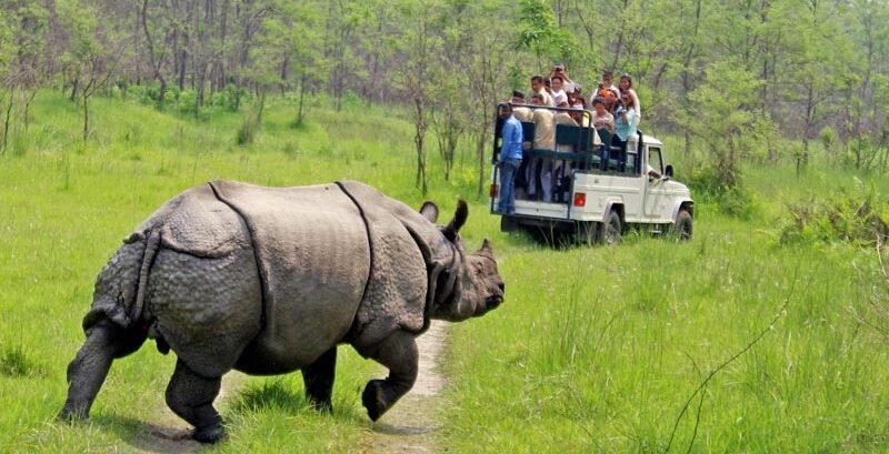 Chitwan safari e1761991131321