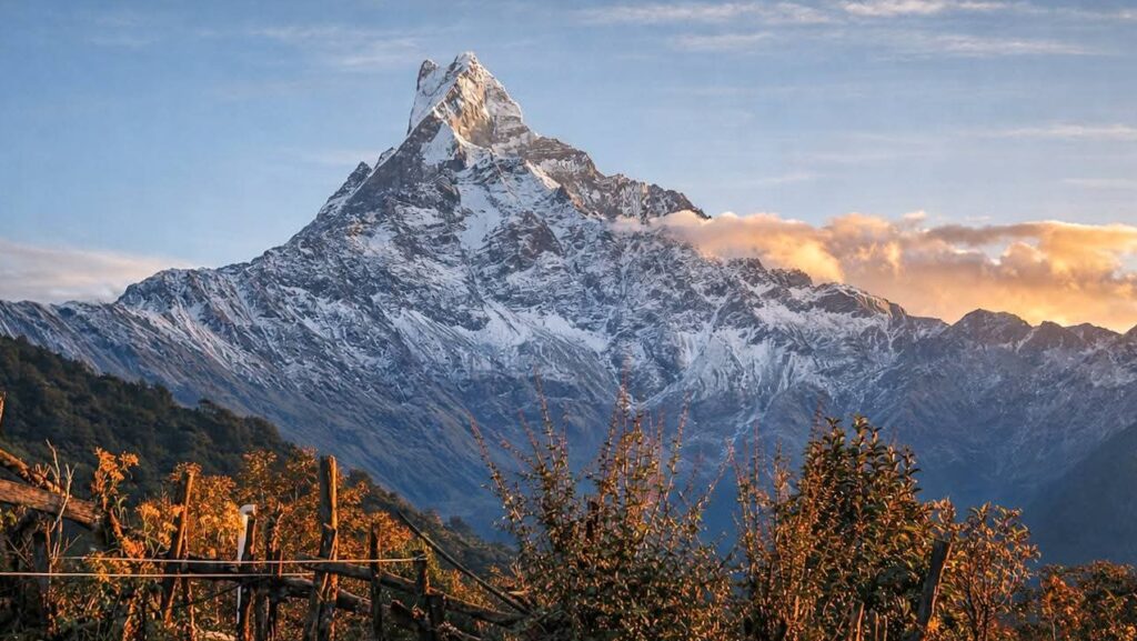 Chitwan to Pokhara tour package e1775303337640